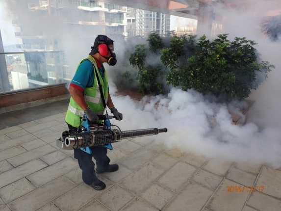 Fogging Mosquito Treatment