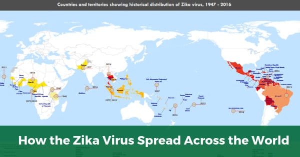 zika virus