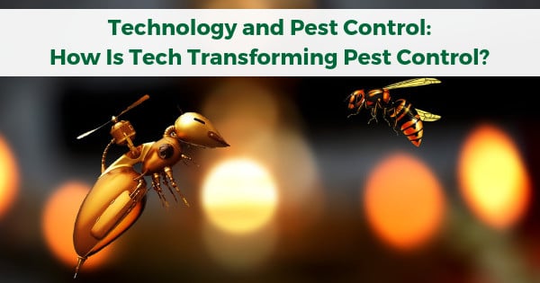 Technology And Pest Control: How Is Tech Transforming Pest Control?