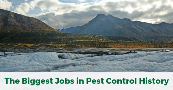 The Biggest Jobs in Pest Control History