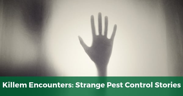 Killem Encounters: Strange Pest Control Stories