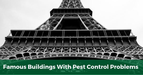Famous Buildings With Pest Control Problems