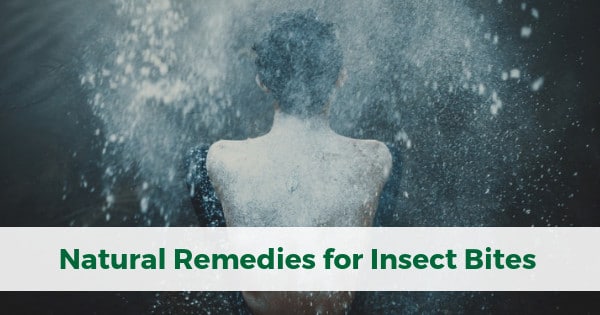 Natural Remedies for Insect Bites