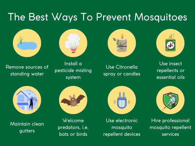 The Best Ways To Prevent Mosquitoes