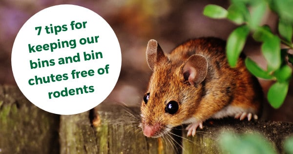 7 tips for keeping our bins and bin chutes free of rodents