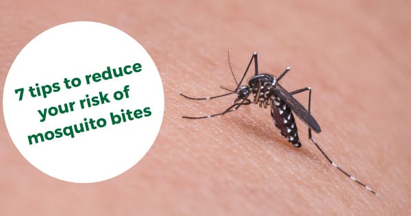 7 tips to reduce your risk of mosquito bites