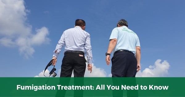 Fumigation Treatment