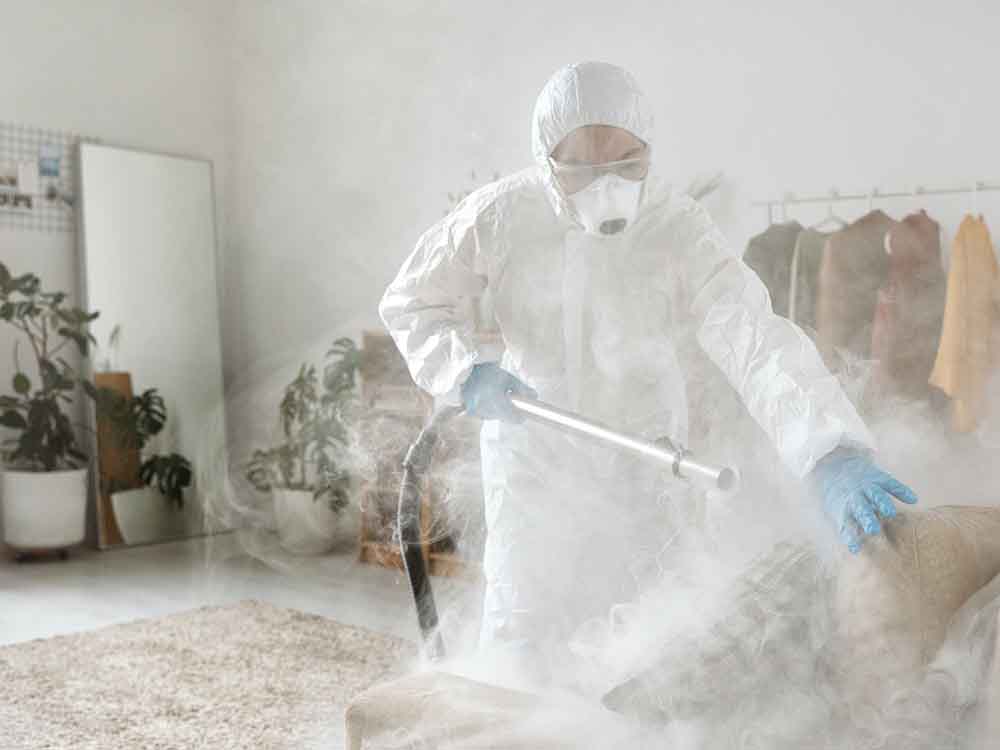 fumigation treatment in singapore