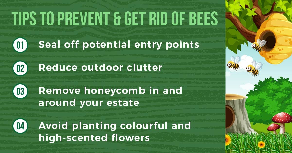 tips to get rid of bees