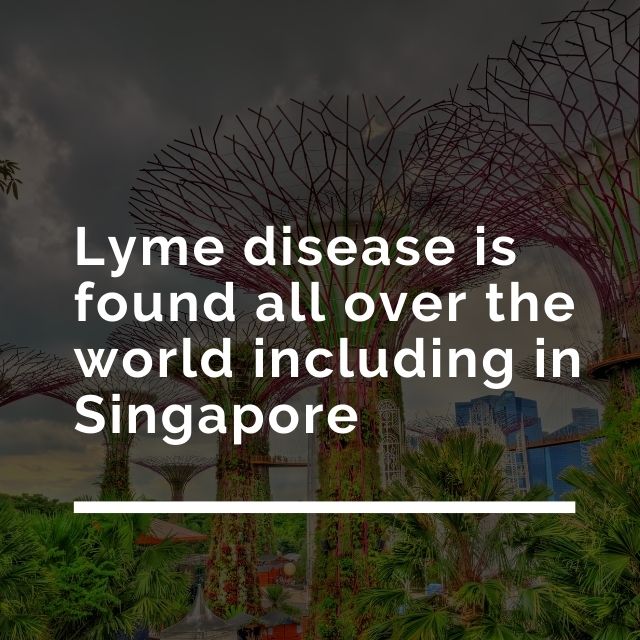 lyme disease in singapore