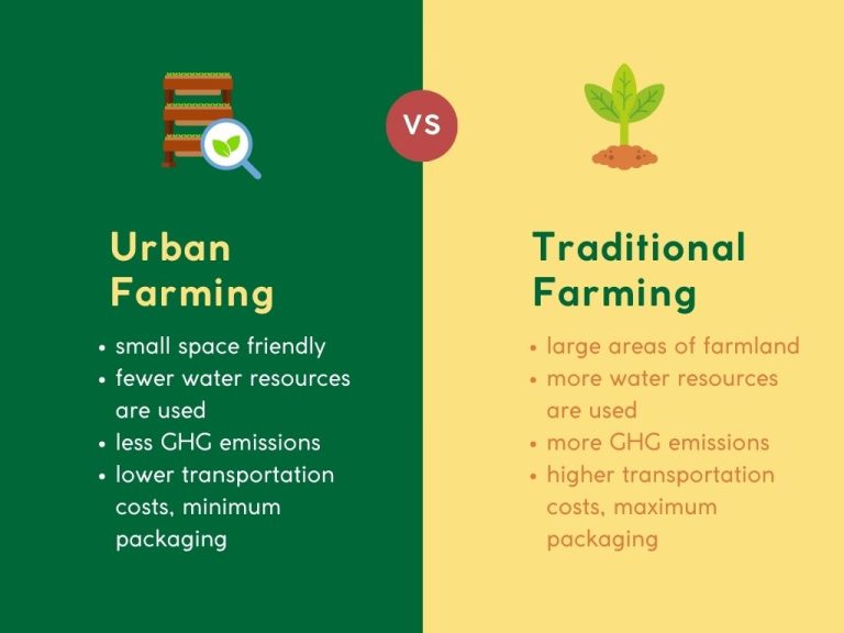 The Ultimate Guide to Urban Farming in Singapore