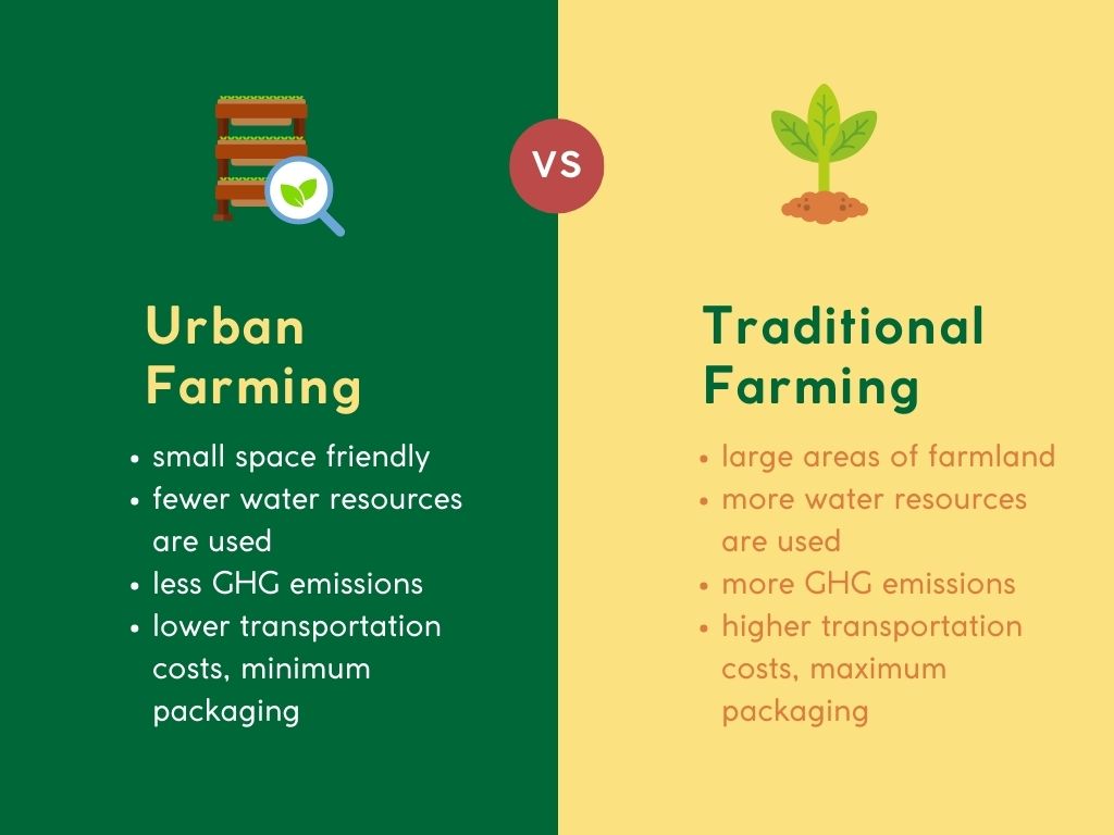 Urban farming vs traditional farming comparison