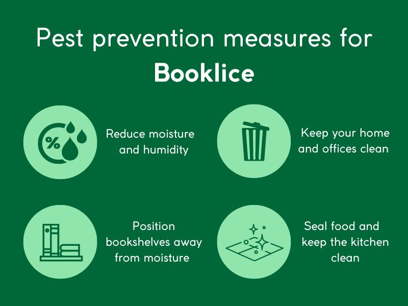 booklice prevention infographic