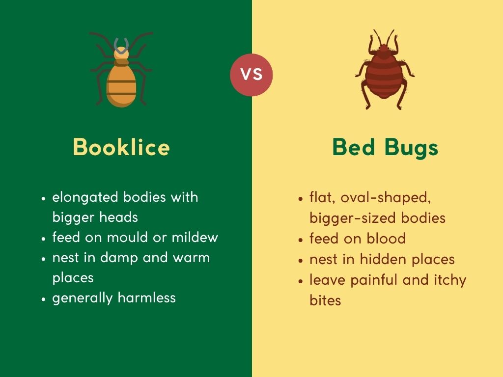 booklice vs bed bugs comparison infographic