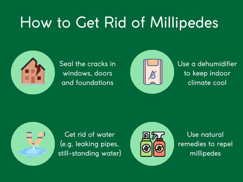 how to repel millipedes naturally