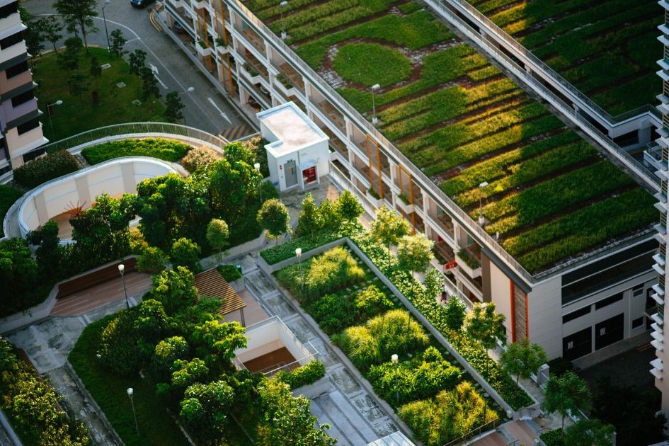 How to Start With Urban Farming in Singapore