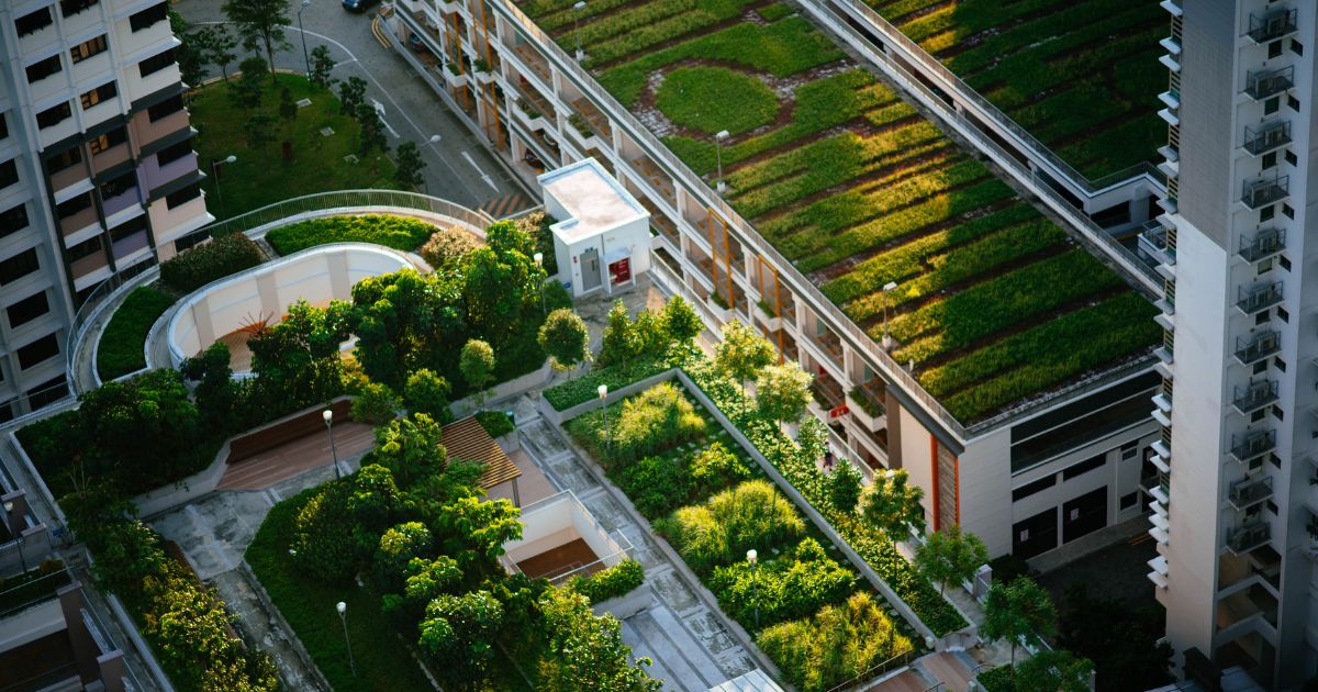 How to Start With Urban Farming in Singapore