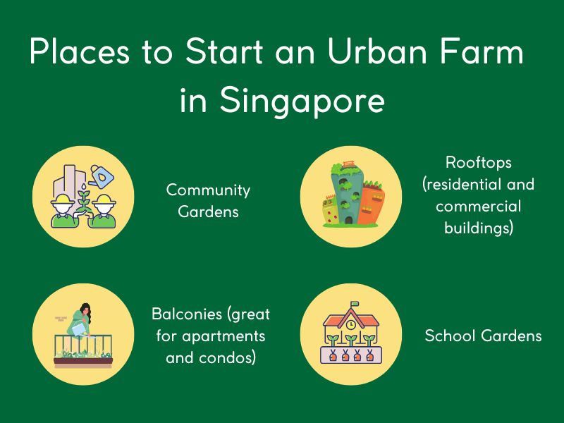 Places to start urban farms in Singapore