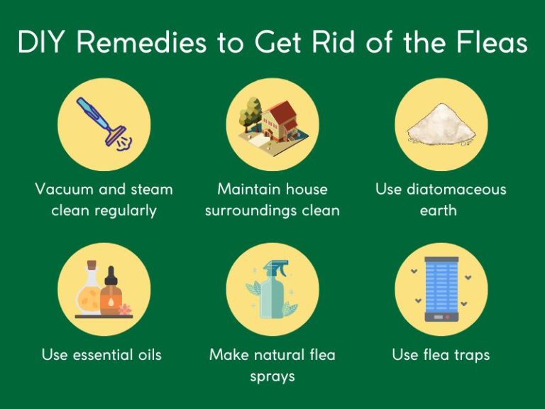 How To Get Rid Of Fleas Natural Ways To Kill Fleas