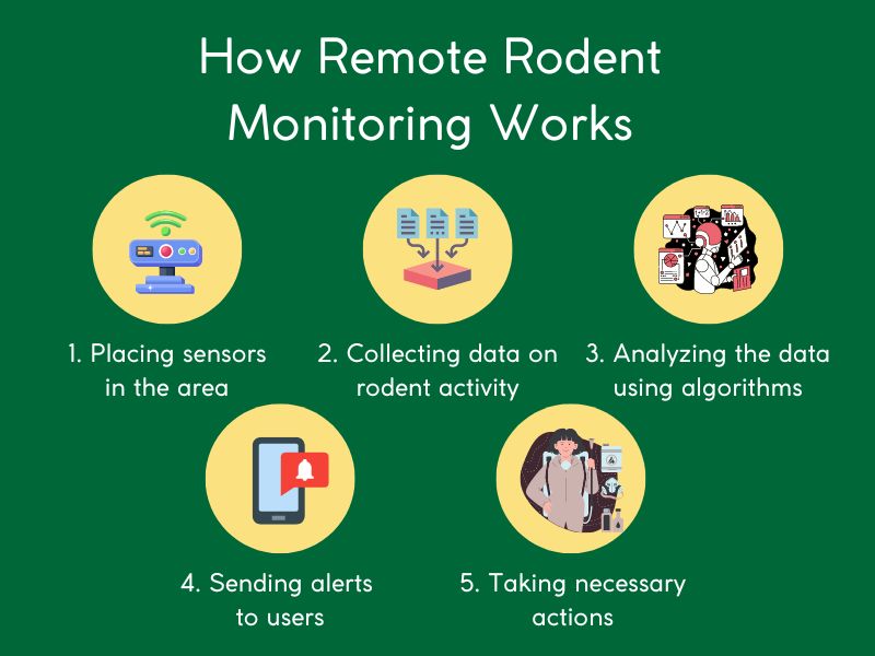 Remote Rodent Sensing Process