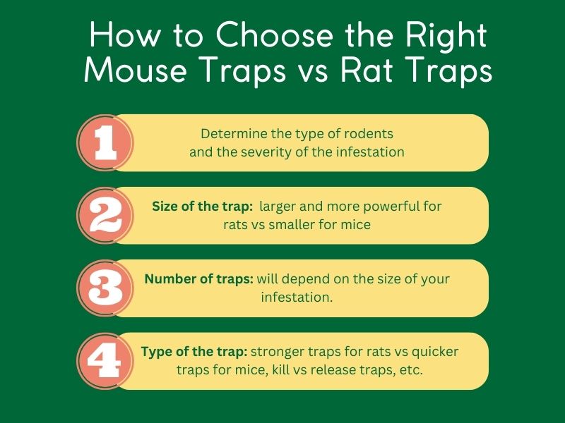 Choosing the Right Mouse Traps vs Rat Traps