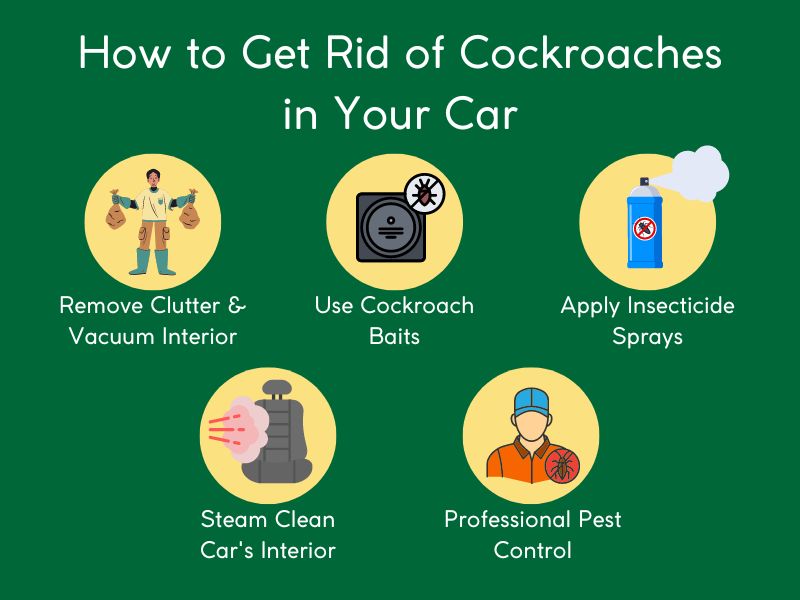 How to keep your car cockroach free