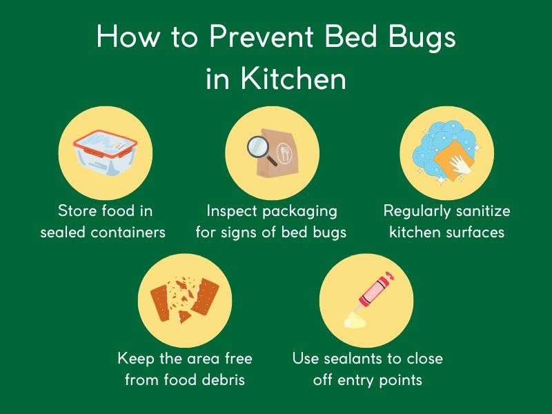 Prevention Strategies for Kitchen Bed Bugs