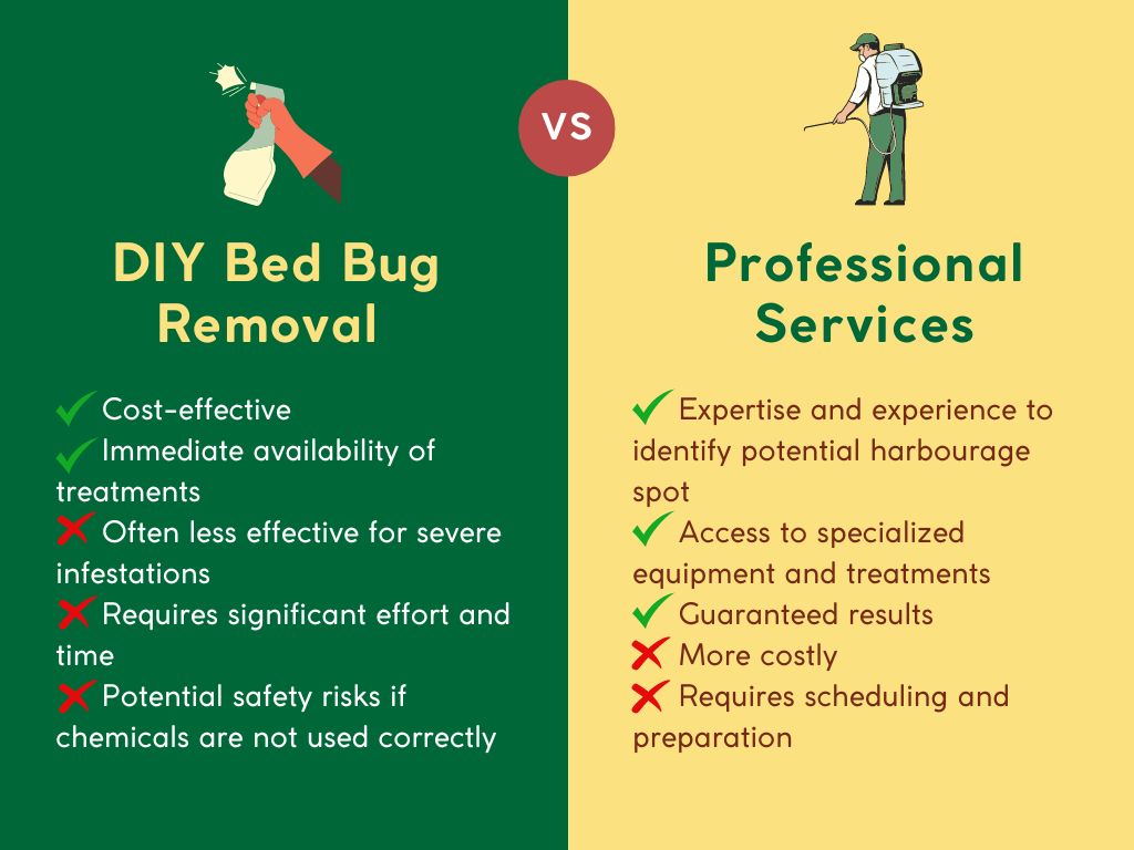 DIY vs. Professional Bed Bug Removal Services
