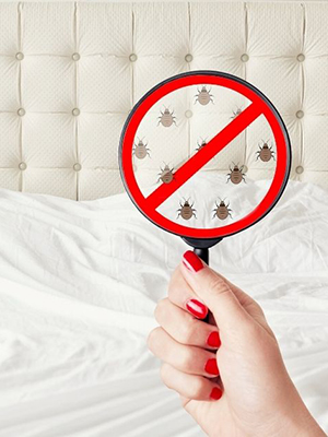 Prevention and Long-Term Control of Bed Bugs