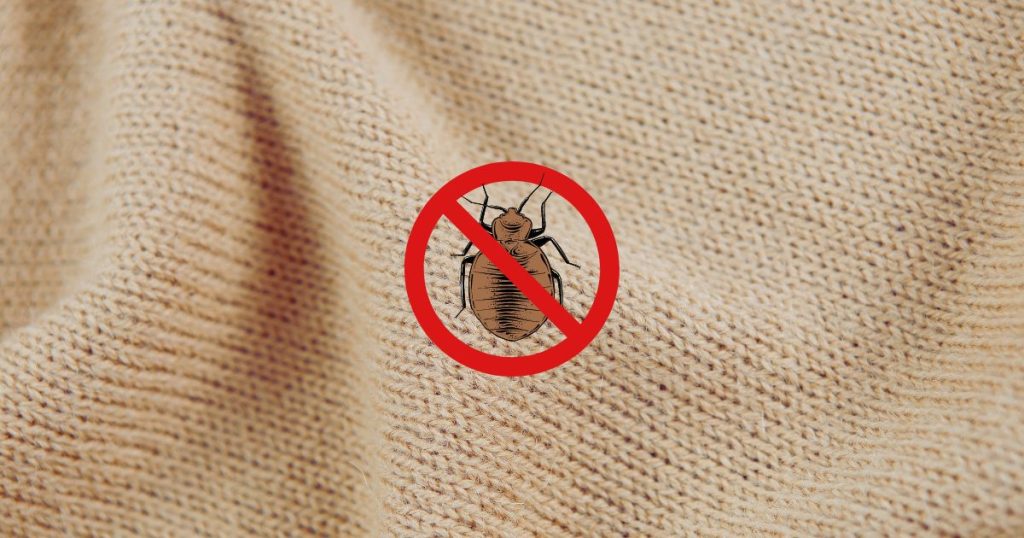 Ultimate Guide What Kills Bed Bugs Instantly in Singapore?