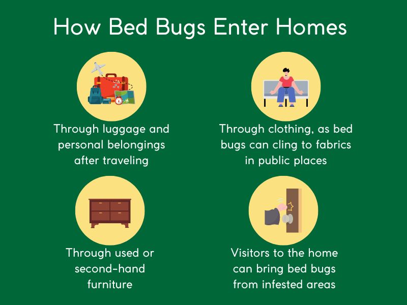 How Bed Bugs Enter Homes